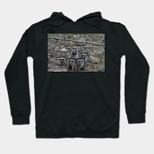 Raccoon Family Hoodie